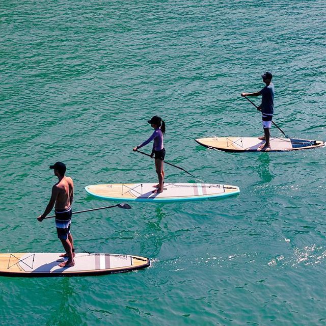 stand_up_paddle_board