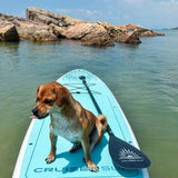 pup resting on a Cruiser SUP® stand up paddle board - Balance