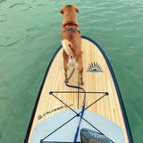 stand_up_paddle_board