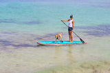 Two XPEDITION Woody Paddle Board Packages - Full Length Deck Pad