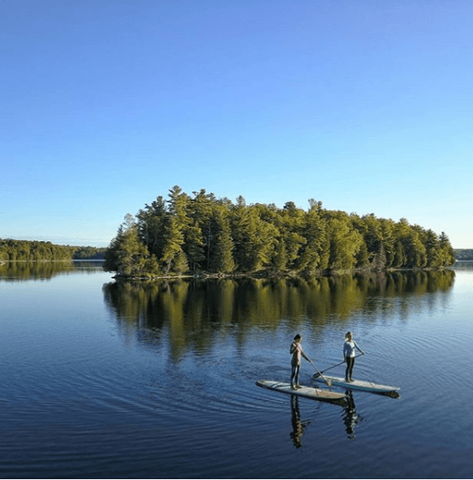 lake paddle boarders