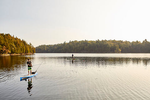 Paddle Boarding in a lake