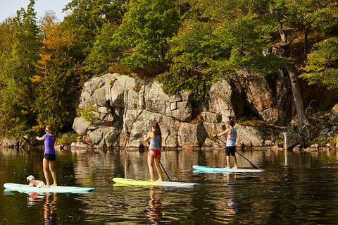 Having fun on stand up paddle boards