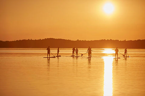 stand up paddle boards at sunset